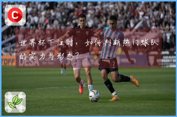 世界杯下注时，如何判断热门球队的实力与形态？