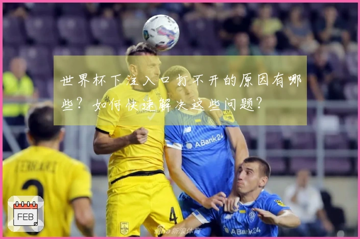 世界杯下注入口打不开的原因有哪些？如何快速解决这些问题？