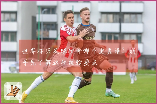 世界杯买足球软件哪个更靠谱？新手先了解这些经验要点