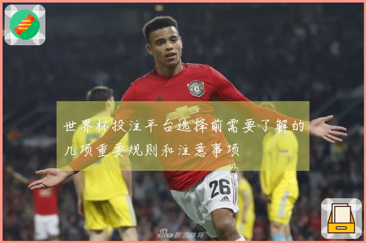 世界杯投注平台选择前需要了解的几项重要规则和注意事项