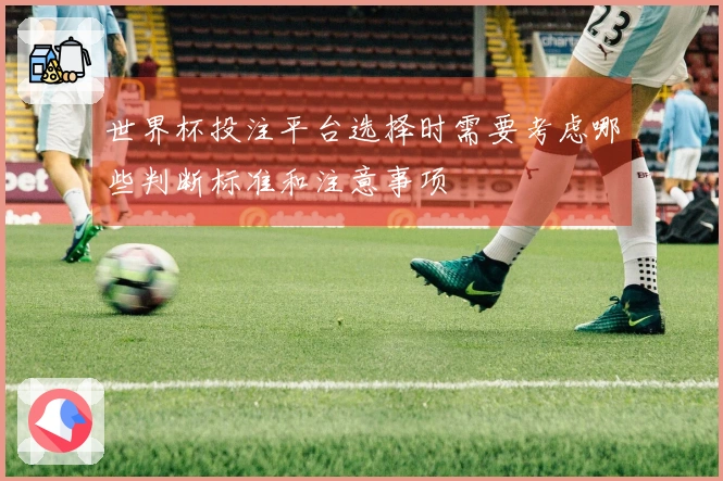 世界杯投注平台选择时需要考虑哪些判断标准和注意事项