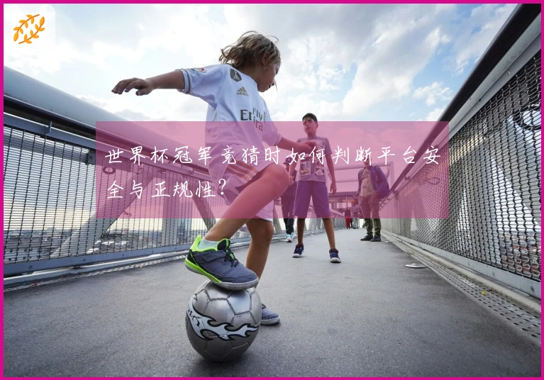 世界杯冠军竞猜时如何判断平台安全与正规性？