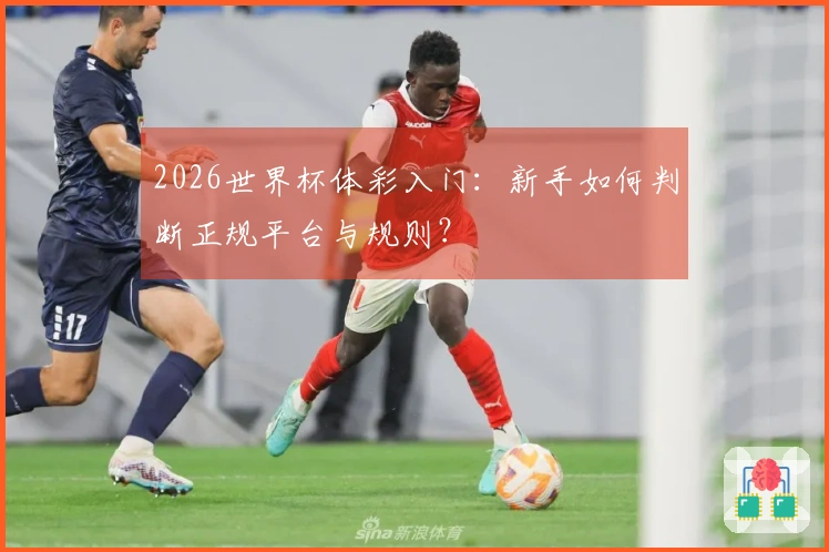 2026世界杯体彩入门：新手如何判断正规平台与规则？