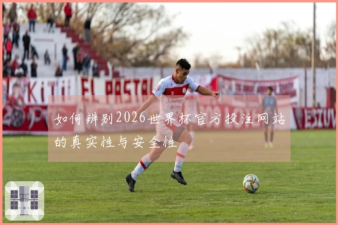 如何辨别2026世界杯官方投注网站的真实性与安全性