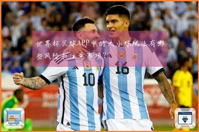 世界杯买球APP中的大小球玩法有哪些风险和注意事项？