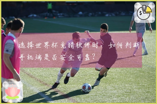 选择世界杯竞猜软件时，如何判断手机端是否安全可靠？