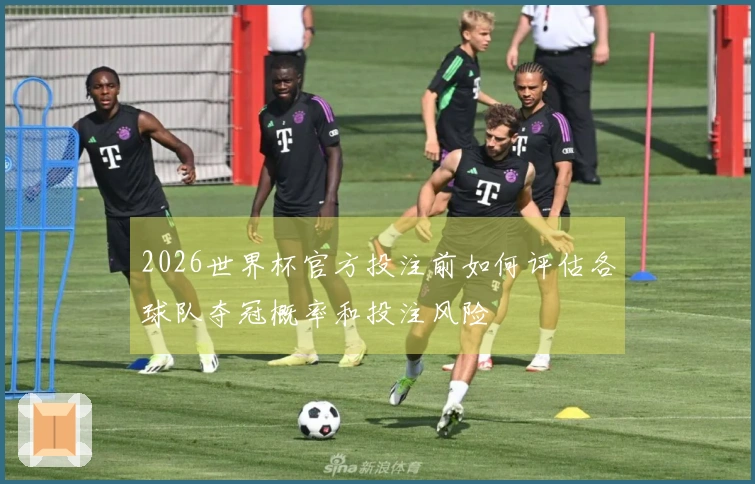 2026世界杯官方投注前如何评估各球队夺冠概率和投注风险