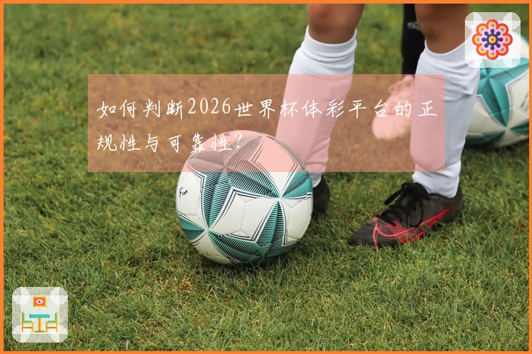 如何判断2026世界杯体彩平台的正规性与可靠性？