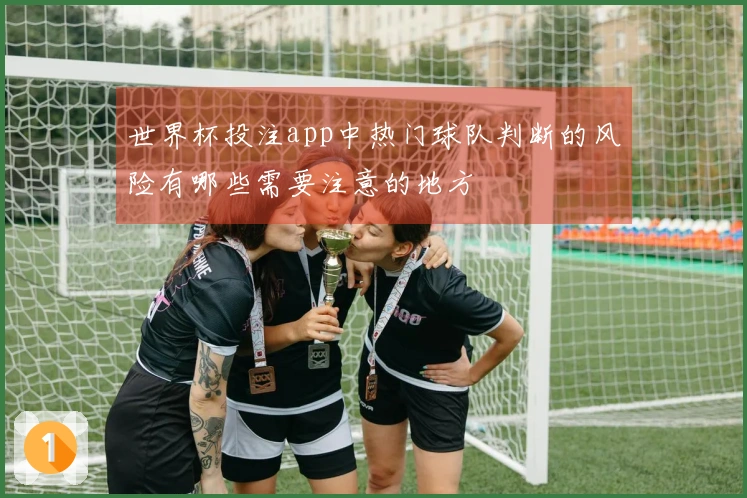 世界杯投注app中热门球队判断的风险有哪些需要注意的地方