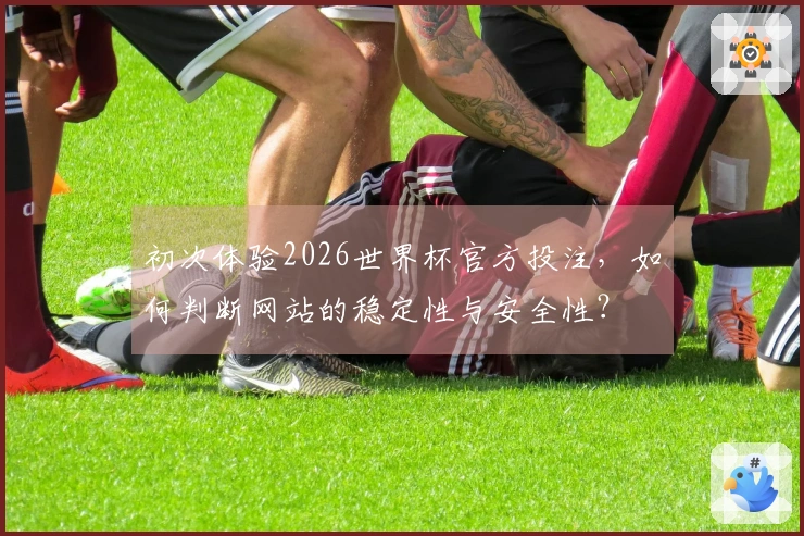 初次体验2026世界杯官方投注，如何判断网站的稳定性与安全性？