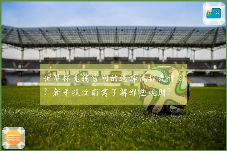 世界杯竞猜官网的选择流程是什么？新手投注前需了解哪些规则？