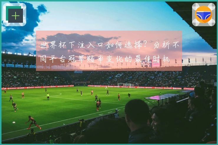世界杯下注入口如何选择？分析不同平台冠军赔率变化的最佳时机