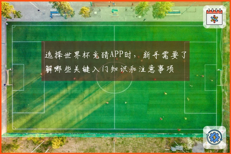 选择世界杯竞猜APP时，新手需要了解哪些关键入门知识和注意事项