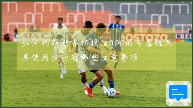 如何判断世界杯投注app的可靠性及其使用技巧有哪些注意事项