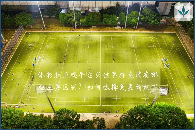 体彩和正规平台买世界杯竞猜有哪些主要区别？如何选择更靠谱的下注渠道？
