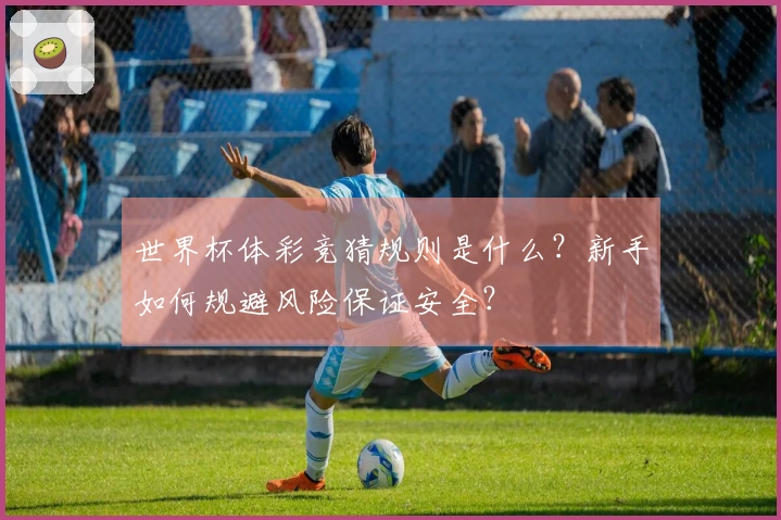 世界杯体彩竞猜规则是什么？新手如何规避风险保证安全？