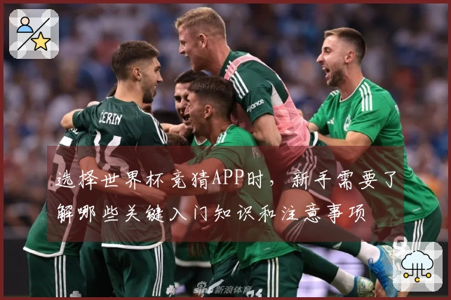 选择世界杯竞猜APP时，新手需要了解哪些关键入门知识和注意事项
