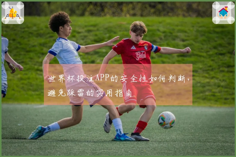 世界杯投注APP的安全性如何判断，避免踩雷的实用指南