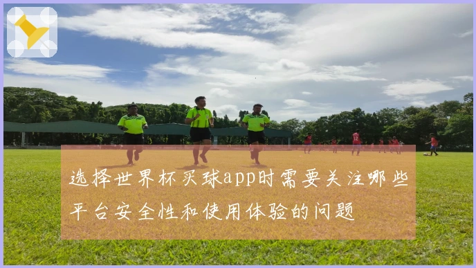选择世界杯买球app时需要关注哪些平台安全性和使用体验的问题