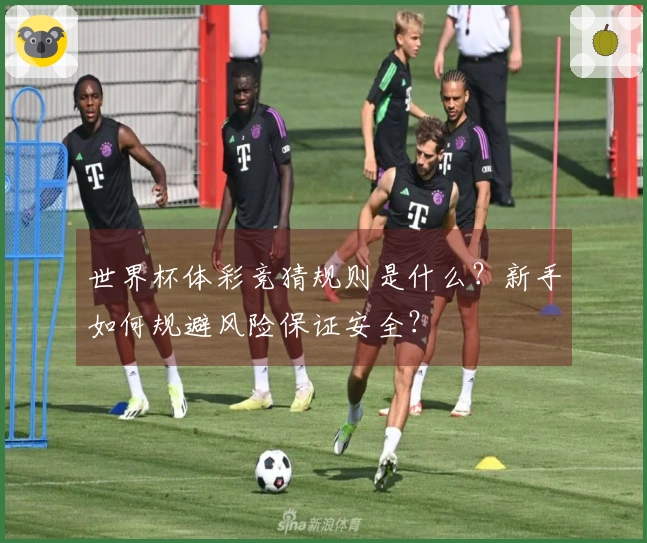世界杯体彩竞猜规则是什么？新手如何规避风险保证安全？