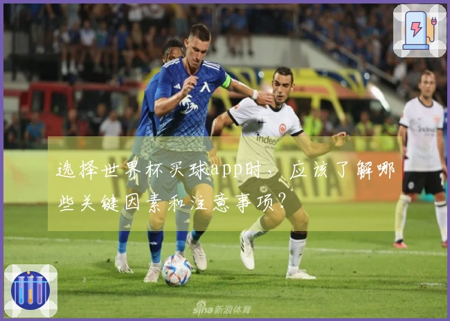 选择世界杯买球app时，应该了解哪些关键因素和注意事项？