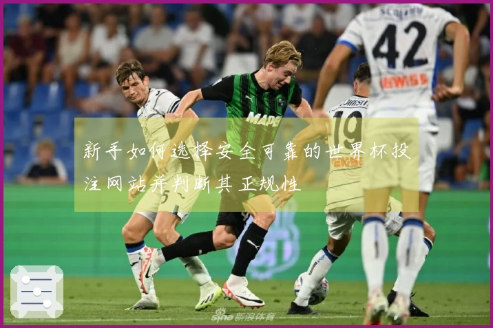 新手如何选择安全可靠的世界杯投注网站并判断其正规性