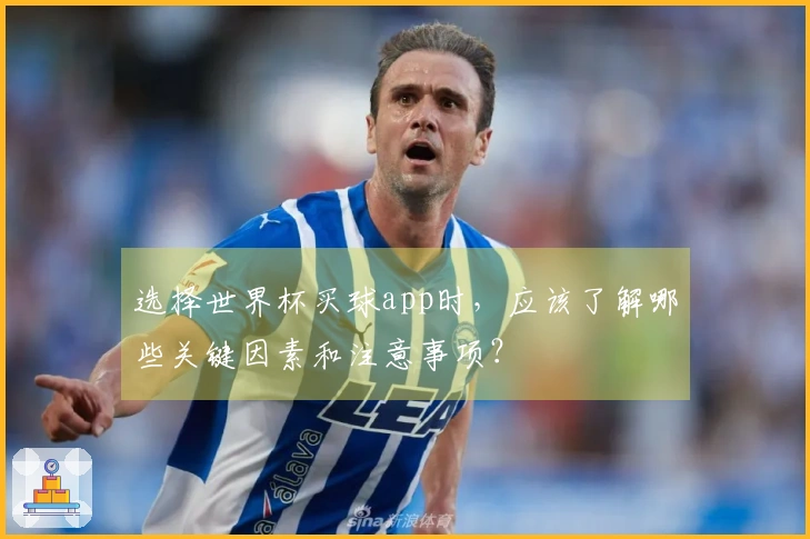 选择世界杯买球app时,应该了解哪些关键因素和注意事项?