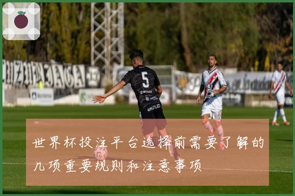 世界杯投注平台选择前需要了解的几项重要规则和注意事项